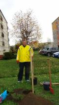 Mieszkańcy chętnie włączają się do akcji „KLIMATycznie w Wejherowie”