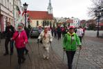 Niepodległościowy spacer z kijkami