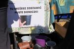 Blisko 2,5 tys. bratków trafiło do mieszkańców