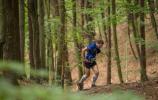 Ponad pół tysiąca zawodników wystartowało w TriCity Trail 