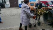 Mieszkańcy chętnie włączają się do akcji „KLIMATycznie w Wejherowie”
