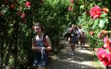 Premiera nowej gry mobilnej „The Rose’s Adventure”