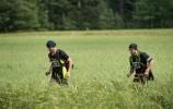 Ponad pół tysiąca zawodników wystartowało w TriCity Trail 