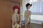 Spotkanie absolwentów Szkoły Podstawowej nr 9