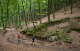 Ponad pół tysiąca zawodników wystartowało w TriCity Trail 