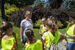 Co w trawie piszczy? Spacery edukacyjne w wejherowskim parku