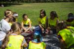 Co w trawie piszczy? Spacery edukacyjne w wejherowskim parku