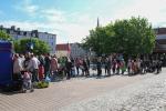 Blisko 2,5 tys. bratków trafiło do mieszkańców