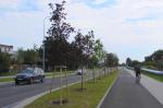 Koniec budowy ulic Necla i Gryfa Pomorskiego 