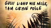 Gra Miejska -  Gdzie licho nie może