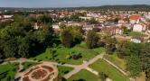 Usuwanie drzew i krzewów