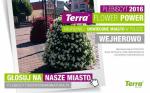 Wejherowo walczy w plebiscycie na „Najpiękniej ukwiecone miasto”