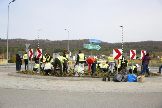 Kwietne rondo na Węźle Zryw 