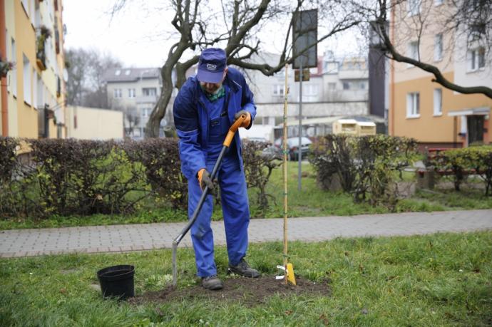 Mieszkańcy chętnie włączają się do akcji „KLIMATycznie w Wejherowie”