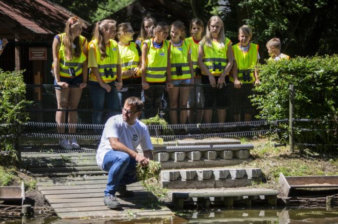 Co w trawie piszczy? Spacery edukacyjne w wejherowskim parku