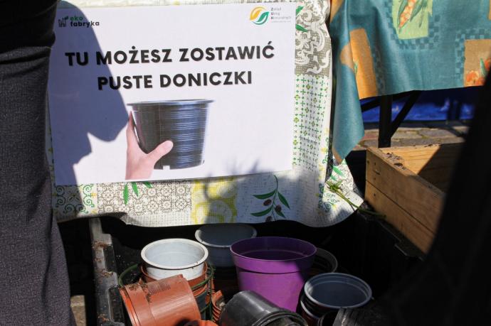Blisko 2,5 tys. bratków trafiło do mieszkańców
