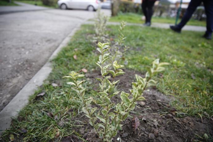 Mieszkańcy chętnie włączają się do akcji „KLIMATycznie w Wejherowie”