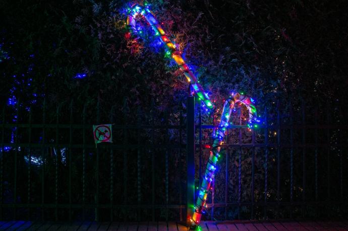 Laureaci najatrakcyjniejszych iluminacji świątecznych