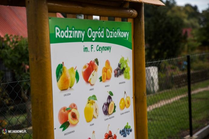 Pierwszy projekt Budżetu Obywatelskiego zakończony