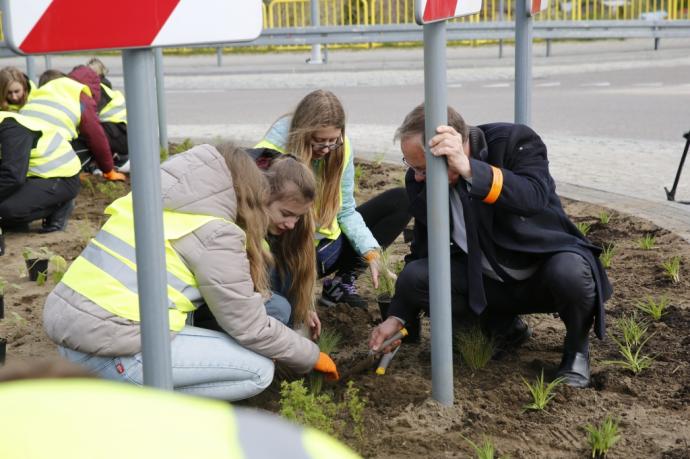 Kwietne rondo na Węźle Zryw 