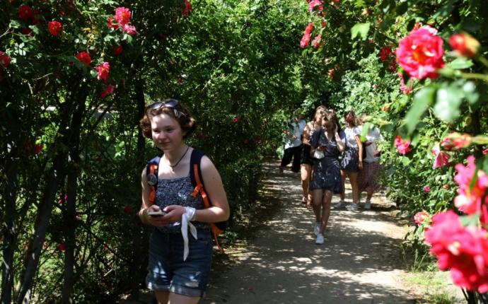 Premiera nowej gry mobilnej „The Rose’s Adventure”