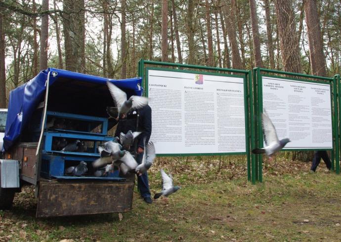 Hołd ofiarom zbrodni piaśnickiej