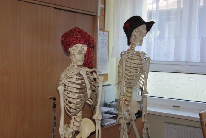 Spotkanie absolwentów Szkoły Podstawowej nr 9