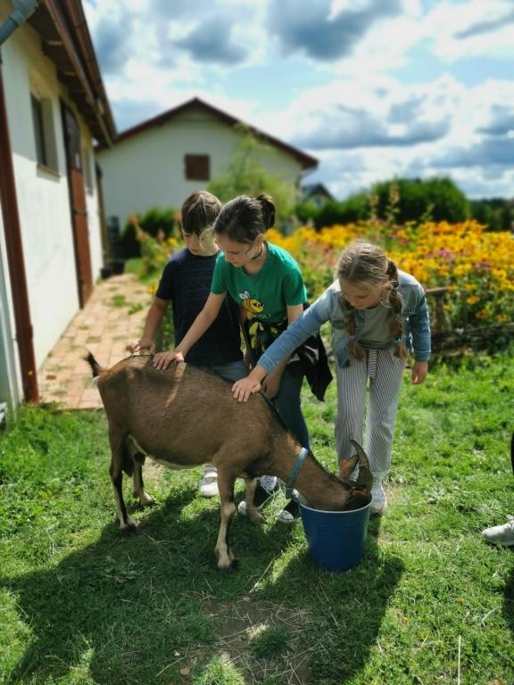 Półkolonie letnie w Wejherowie – zakończenie pierwszego turnusu