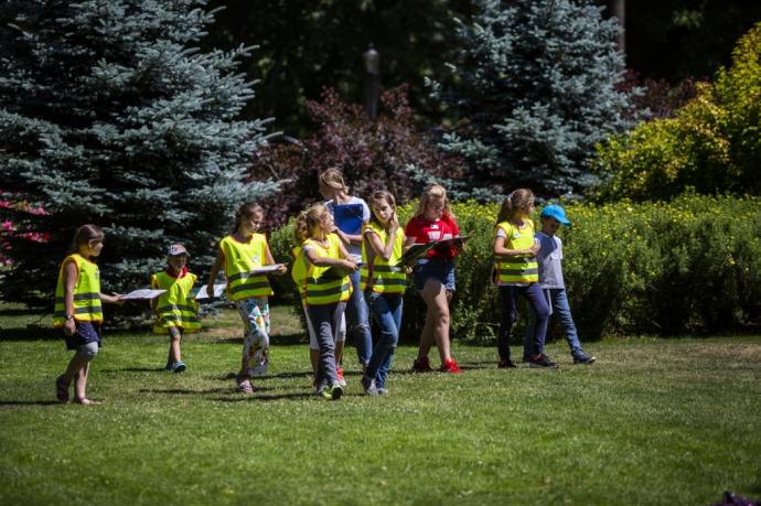 Co w trawie piszczy? Spacery edukacyjne w wejherowskim parku