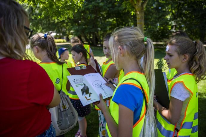 Co w trawie piszczy? Spacery edukacyjne w wejherowskim parku
