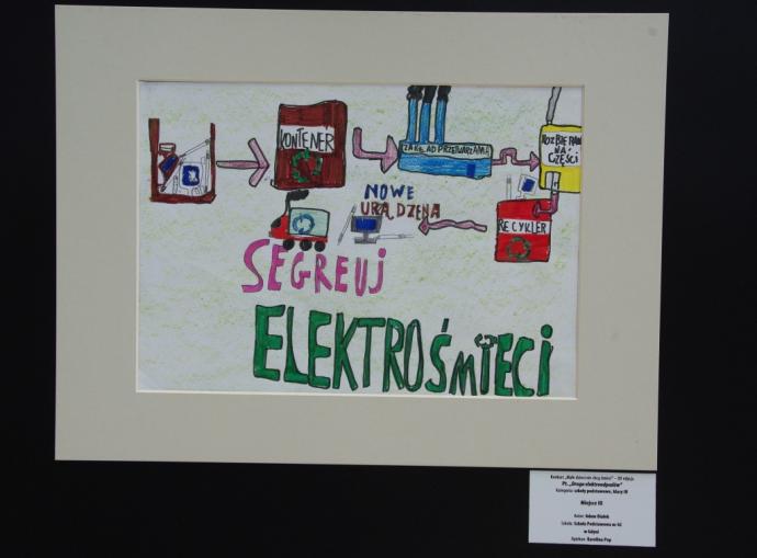 Młodzi liderzy lokalnej ekologii