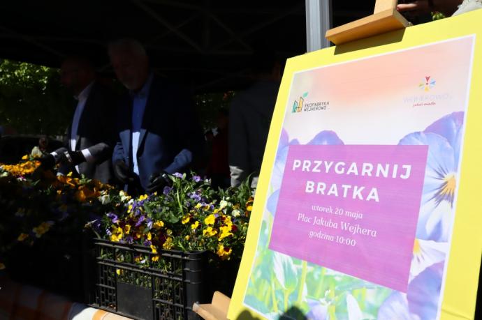 Przygarnij bratka