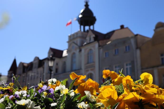 Przygarnij bratka