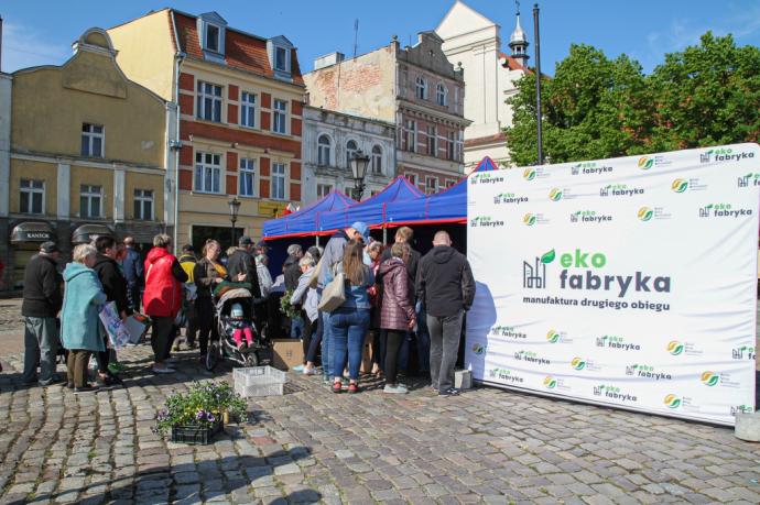 Blisko 2,5 tys. bratków trafiło do mieszkańców