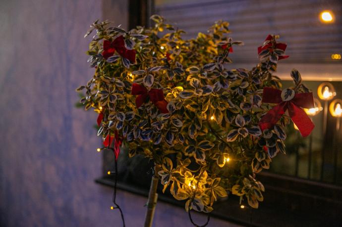 Laureaci najatrakcyjniejszych iluminacji świątecznych