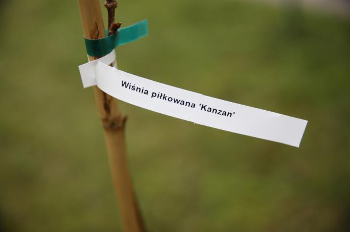 Mieszkańcy chętnie włączają się do akcji „KLIMATycznie w Wejherowie”