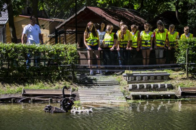 Co w trawie piszczy? Spacery edukacyjne w wejherowskim parku
